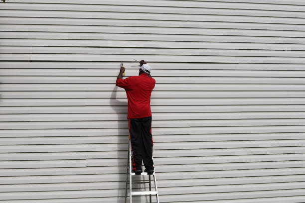 Best Storm Damage Siding Repair  in Pleasant Valley, WV
