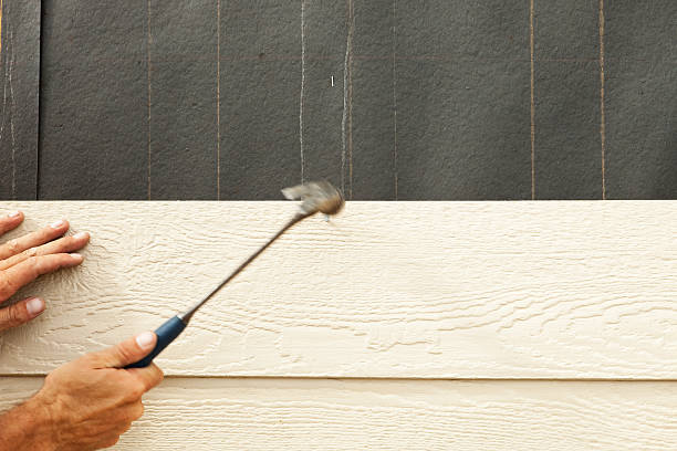 Best Custom Siding Design  in Pleasant Valley, WV